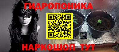 дмт Заволжье