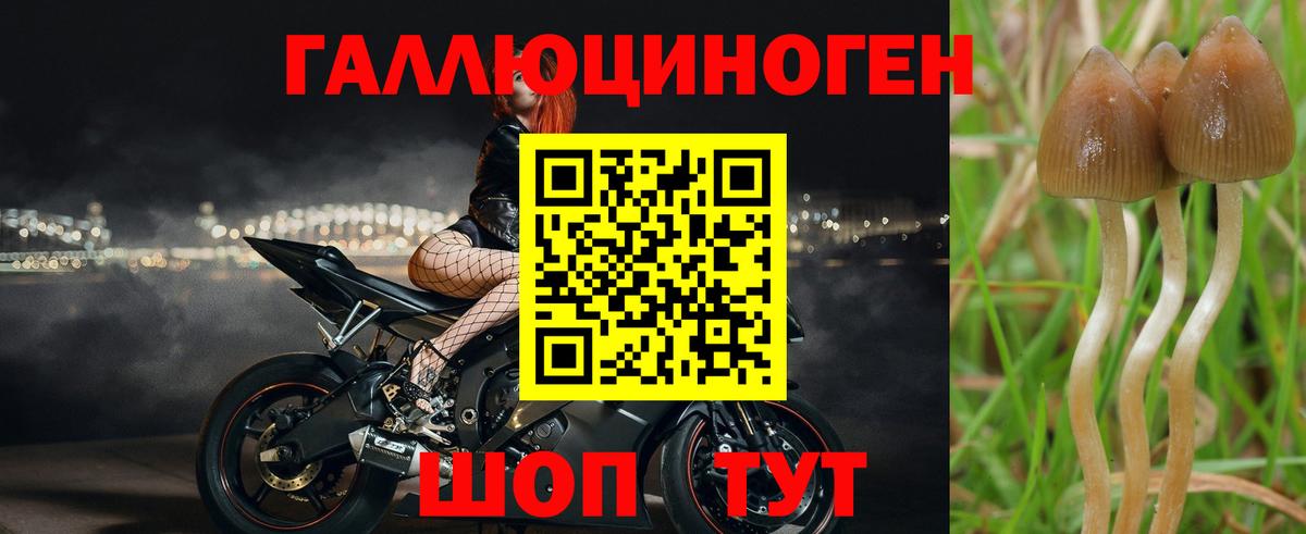 Чебоксары  Псилоцибиновые грибы Magic Shrooms  Вход с VPN 