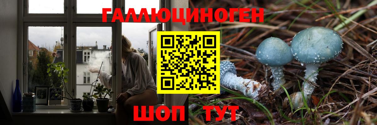 Псилоцибиновые грибы ЛСД Чебоксары